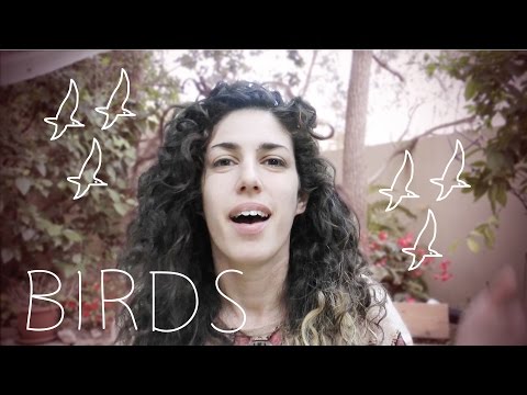 Weekly Hebrew Words with Yaara - Birds