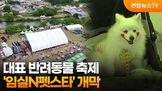 대표 반려동물 축제 '임실N펫스타' 개막 / 연합뉴스TV (YonhapnewsTV)