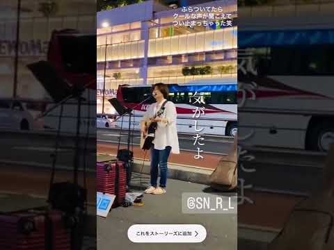 たまには皆さんが撮ってくれた動画の切り抜きを✨ #チェリー #スピッツ #紫野#しのうた #崖っぷちのシニョ #路上ライブ