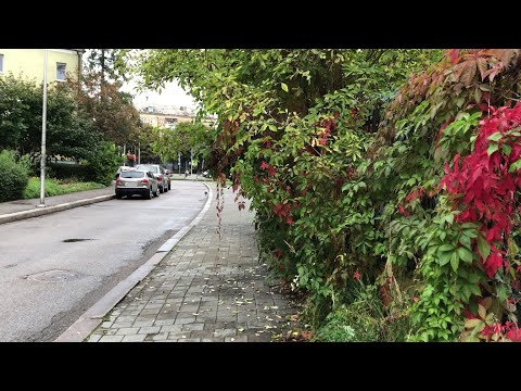 Walking in Kaliningrad to Chaikovsky Street / Konigsberg