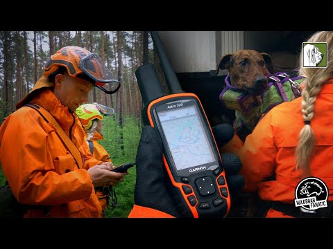 Nachsuche auf Rotwild mit @WildboarFanatic und Frieder Liebig | 4K