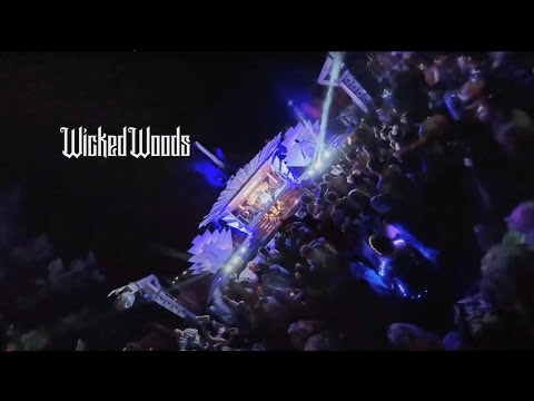 Smalltown DJs at Wicked Woods Music Festival 2023