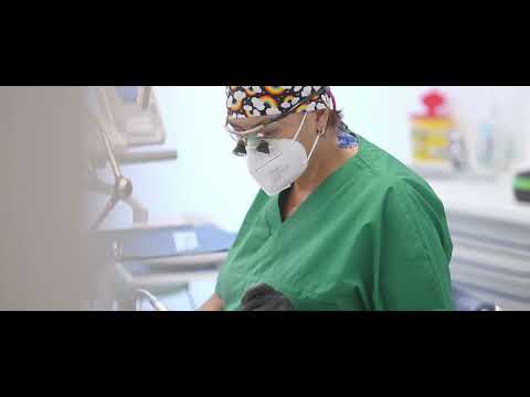 IGIENE ORALE I punti chiave sulla sua importanza