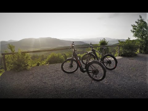 KTM Macina Team LFC, Macina Skaud 271 LFC E-MTB / E-BIKE  2020 Overview