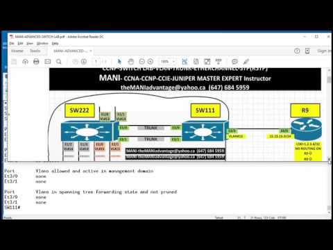 Advanced Switching Lab