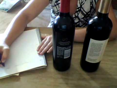 Equineqt Whisper 61  Soft Spoken Event Planner Role Play ASMR