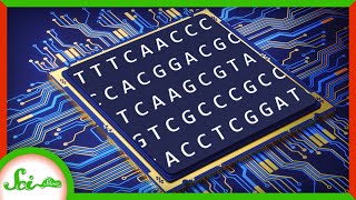 DNA: Not Just for Life Anymore!