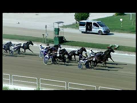 Napoli Trotto 05/09/2021 - 1ª corsa