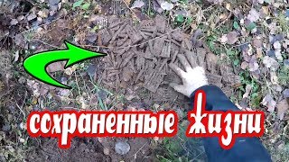 ЭТО СЛУЧИЛОСЬ В ЛЕСУ КОГДА ВЫШЕЛ НА ОПУШКУ НАШЕЛ...