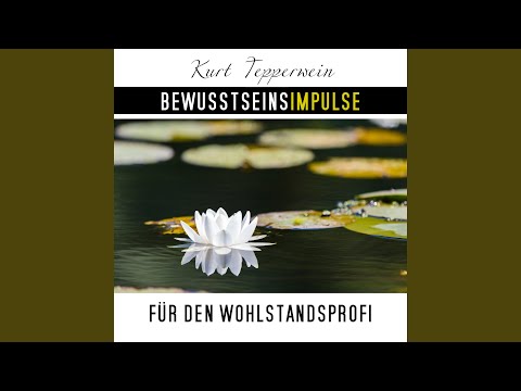Bewusstseinsimpulse für den Wohlstandsprofi