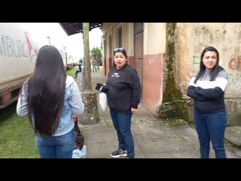 Trem passando em Alexandra Paranaguá PR