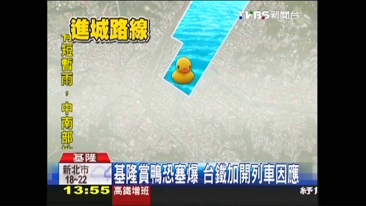 小鴨21日進港　研擬計畫迎戰賞鴨潮