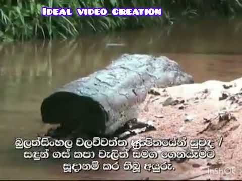 දූෂිත ප්&zwj;රා,ලේ,වරියගෙ කෙරුවාවක්.#K/Bu divisional secretary #around me #corruption fraudමැරකම්