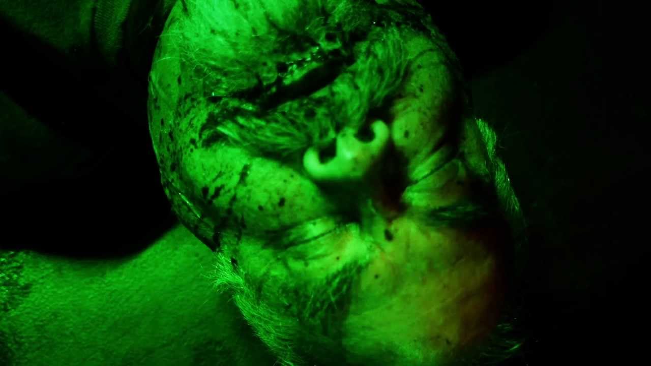 Rockabilly Zombie Weekend Trailer Thumbnail