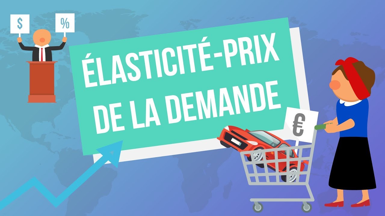 L'élasticité-prix de la demande