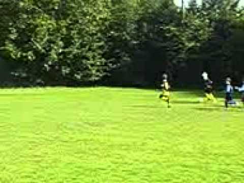 ksvo steenokkerzeel v stade haacht  8 - 6 pour ksvo