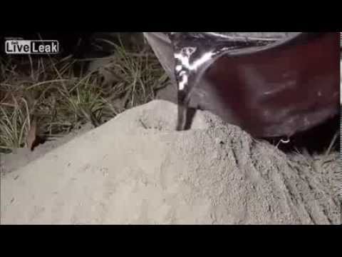 Odlew mrowiska z aluminum