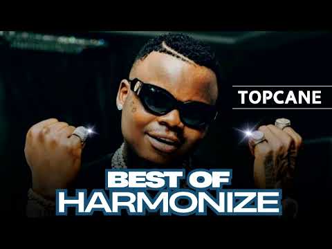 BEST OF HARMONIZE MIX 2025 | WANGU, Bye Bye MAZOEA ,TENA, WOTE AMELOWA, UJANA,USEMI SINA ,TEACHER,