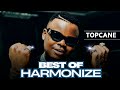 BEST OF HARMONIZE MIX 2025 WANGU Bye Bye MAZOEA TENA WOTE AMELOWA UJANA USEMI SINA TEACHER