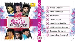 Tuhi Meri Dilruba Vol-3 | Mappila Album | Malayalam | Audio Jukebox