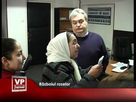 Războiul rozelor