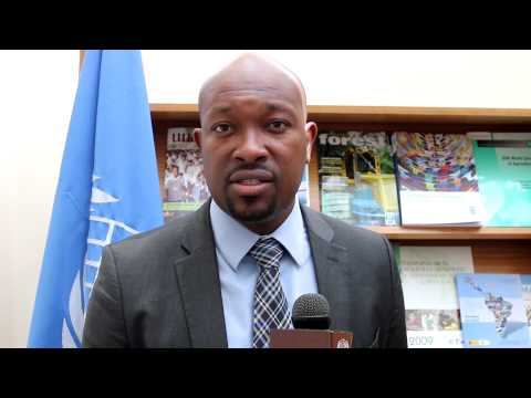 Interview to Minister of Agriculture of Saint Vincent and the Grenadines