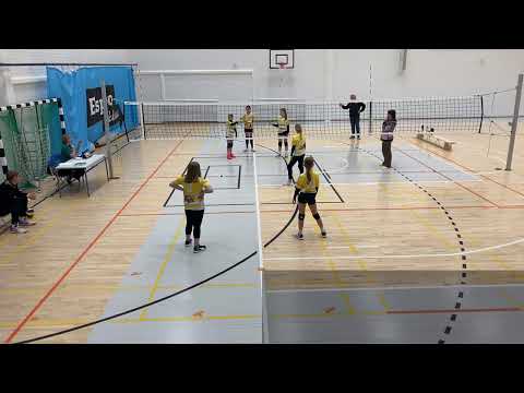 DT Tiikeri K1 18779   ViLePa - ViLePa D-Tytöt