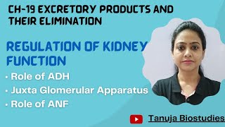Ch-19 Excretory product & their elimination-Regulation of Kidney function|JGA|Class 11 Biology/NEET