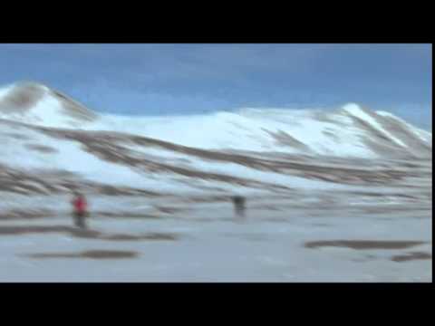 Sammy el heladero (a la manera de Werner Herzog)