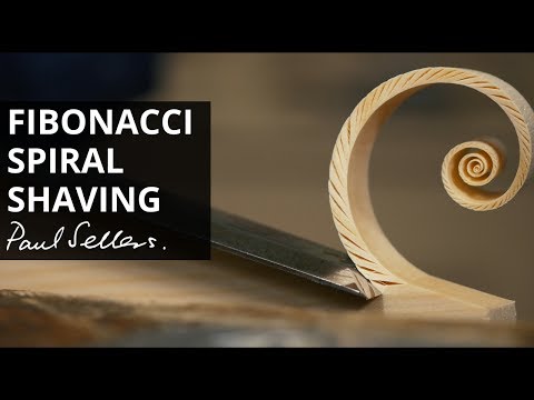 Fibonacci spiral shaving.