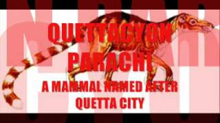 preview picture of video 'An extinct mammal named after  QUETTA city : QUETTACYON PARACHI'