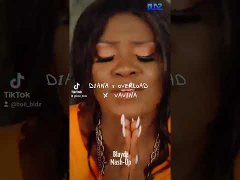 Chris Brown, Zinnia, & Jay Roz'e Collab on this MUST-SEE Diana x Overload x Vavina MASHUP!