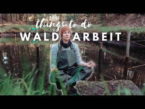 3 days of forest work⎮Update - de-silting ponds, felling trees ⎮Sabrina Outdoor