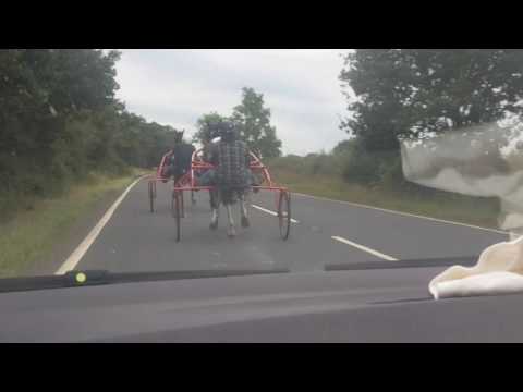 Trevor vs scarlett trotting