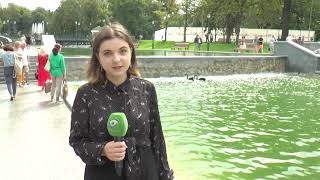 Харківські активісти планують подати петицію щодо лебедів у саду Шевченка