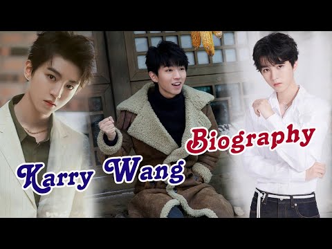 Brief Biography of Karry Wang (王俊凯) Chinese Actor