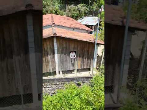 El Campo. #elsalvador #chalatenango #naturaleza #nature #naturelovers #drone #dronevideo