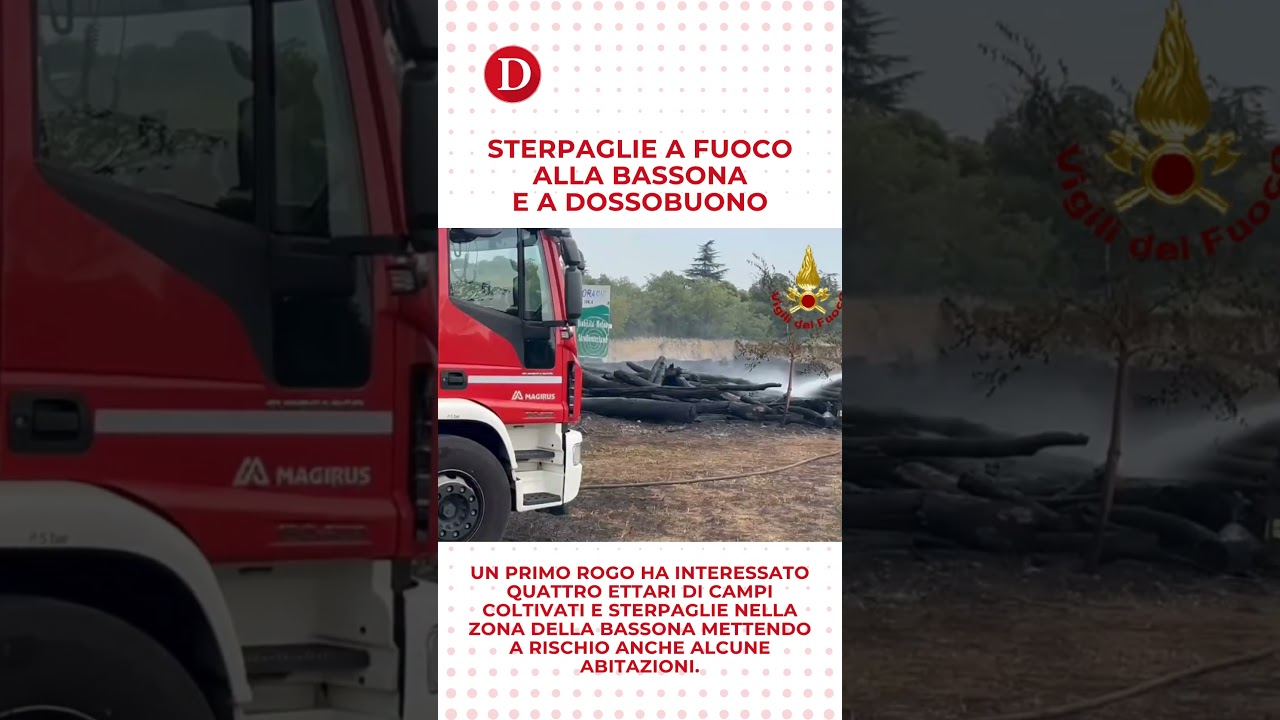 Descrizione dell'immagine