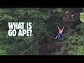 What is Go Ape? A Truly Epic Zip line & Treetop Obstacle Adventure.