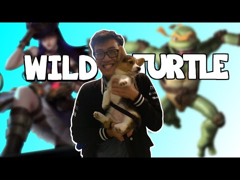 WildTurtle "The Cheerful one" Super Montage 2013-2015 | LCS & Solo Queue