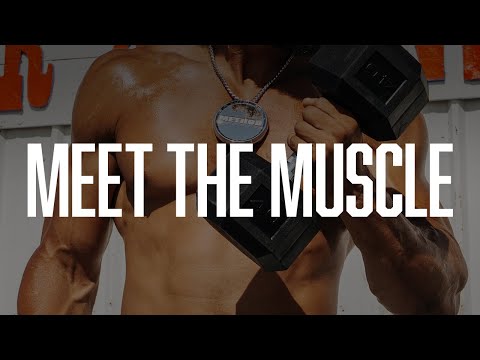 MEET THE MUSCLE - INTRODUCING THE 709 HD BEAD GRIP