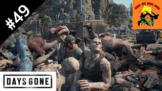 ＃49[サバイバル]ピスコのDAYS GONE（デイズゴーン）［ゲーム実況］