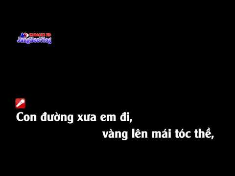 Karaoke Con Đường Xưa Em Đi  Quang Lê