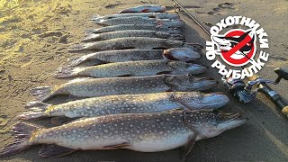 Какие приманки лучше на щуку