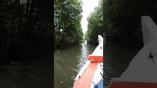 preview picture of video 'Sungai Rindu Muara Tawar, Bekasi Utara'
