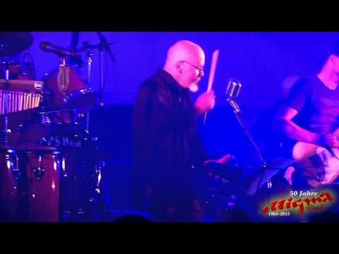 Migma Band - Die Jubilämusparty 2015 - Saitensprung Sexy