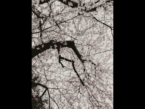 ［No.003］My photograph 2023~2024