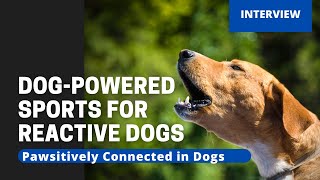 Dog-Powered Sports for Reactive Dogs