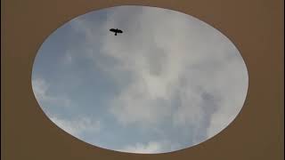 Sky Space