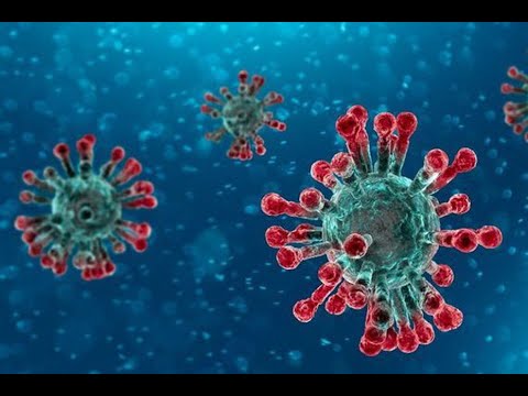 Trumps response to the corona virus